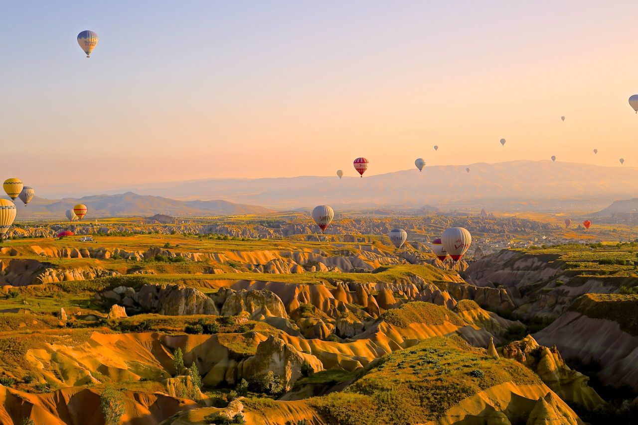 travel experience conduco bologna